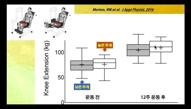 근육 늘리는 방법 | 인스티즈