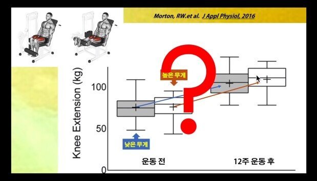 근육 늘리는 방법 | 인스티즈