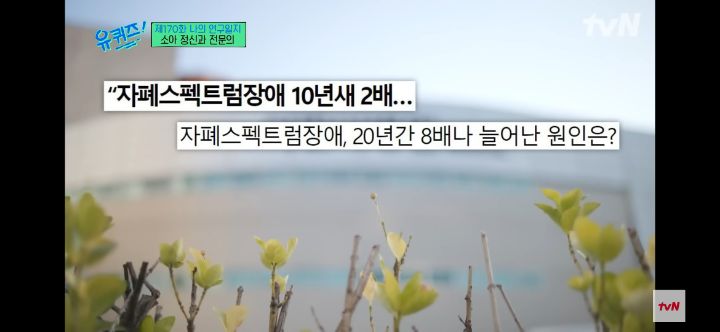 자폐 스펙트럼장애가 10년새 3~4배나 늘어난 원인 | 인스티즈