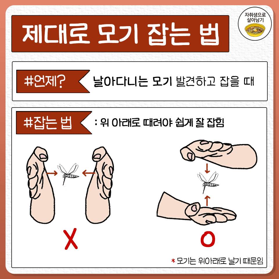 모기 제대로 잡는 법 | 인스티즈