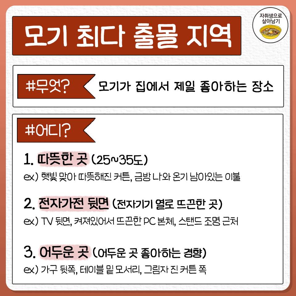 모기 제대로 잡는 법 | 인스티즈