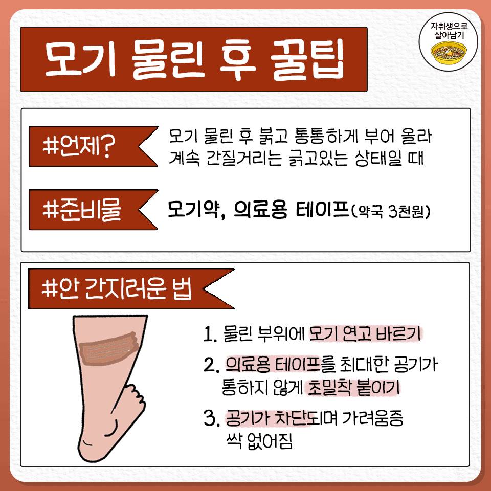 모기 제대로 잡는 법 | 인스티즈