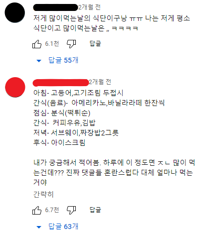 유튜브에서 의견 반반 갈리는 대식가 모델의 촬영날 식사량.jpg | 인스티즈