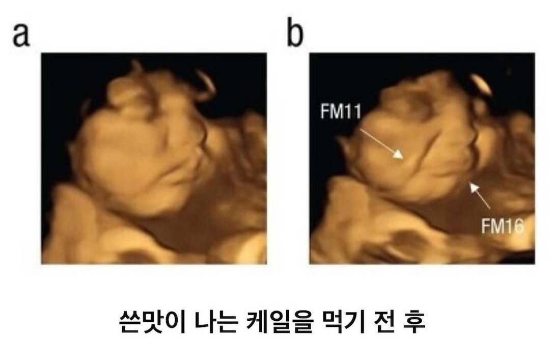 임신했을 때 아기가 먹고싶어한다는 말이 맞나봄 | 인스티즈