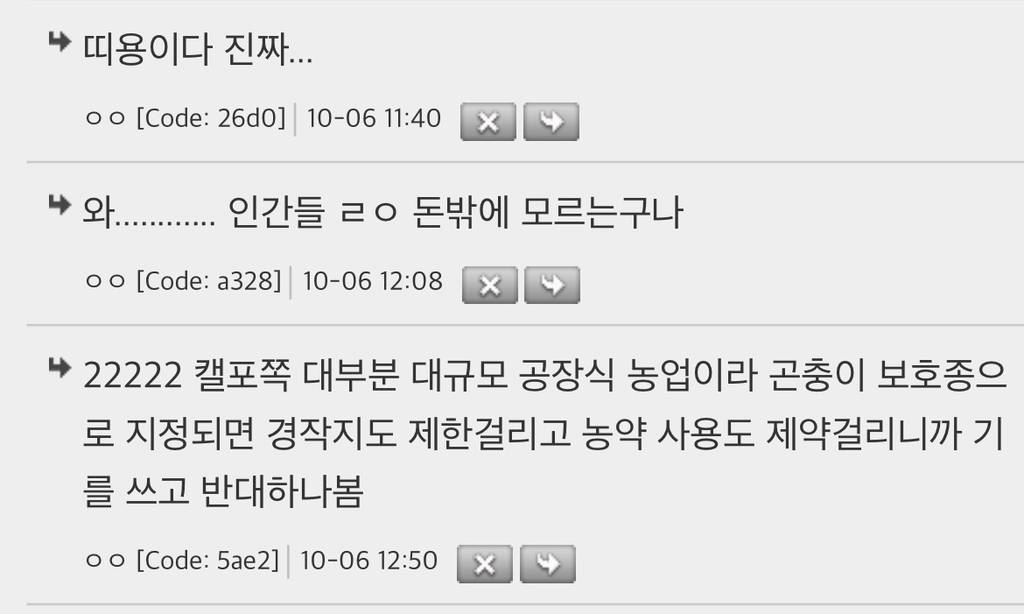 미국법에 따르면 호박벌은 물고기임 | 인스티즈