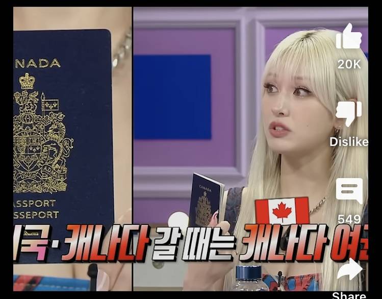 여권부자 전소미, 3개국 여권비교 | 인스티즈