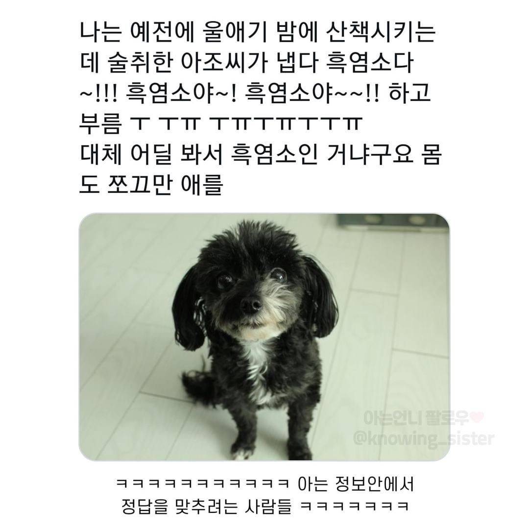 nokbeon.net-동물보고 눈에 보이는대로 부르는 어른들-1번 이미지