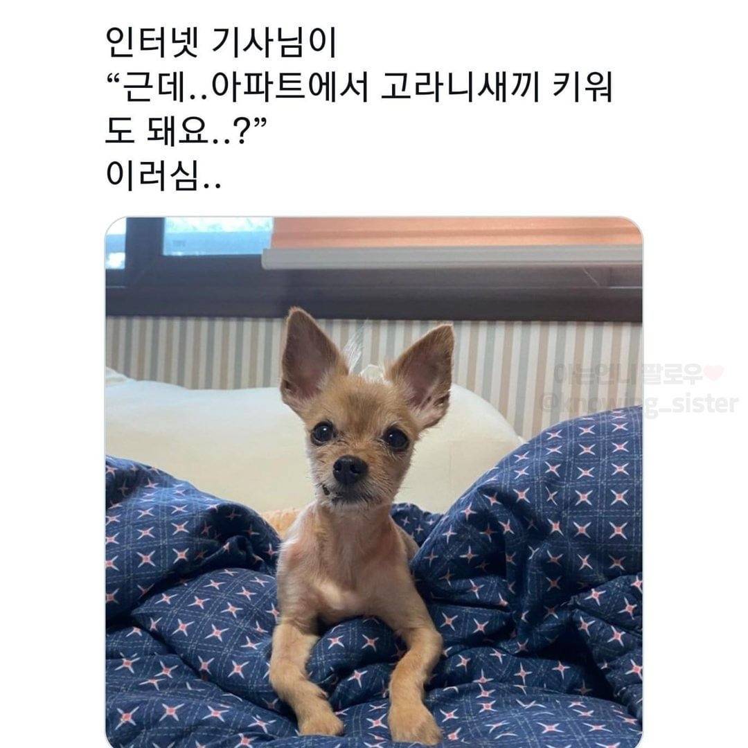 nokbeon.net-동물보고 눈에 보이는대로 부르는 어른들-6번 이미지