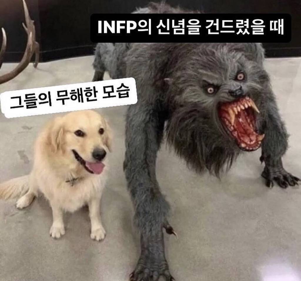 찐 INFP가 공감한 INFP밈 | 인스티즈