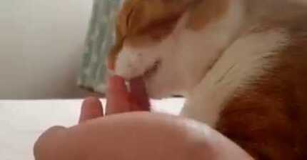 손가락을어디서바꿔..? | 인스티즈