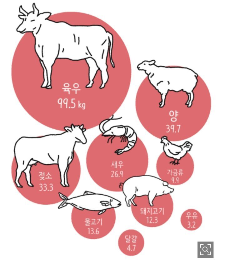 내가 채식을 한다면 지구는 어떻게 바뀔까? | 인스티즈