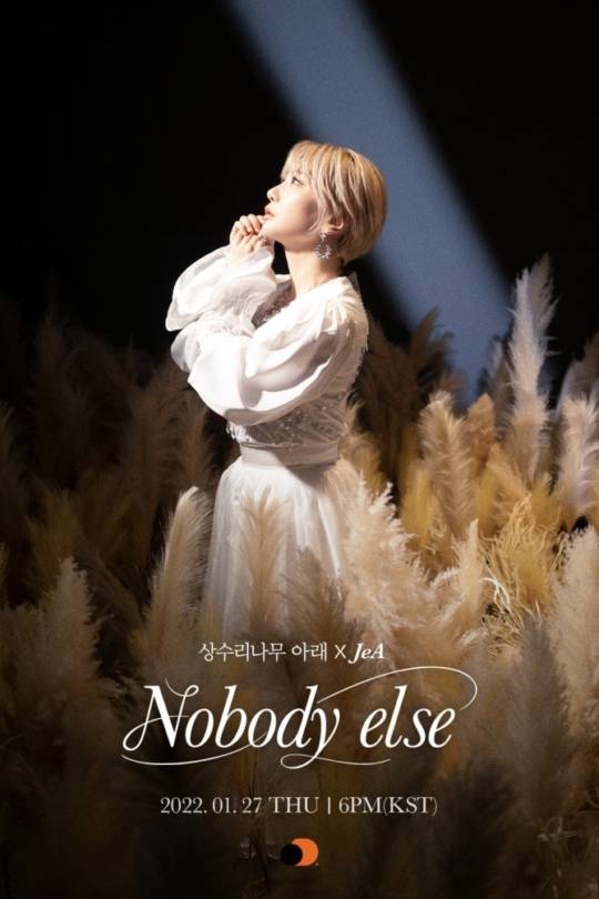 27일(목), 제아 웹툰 '상수리나무 아래' OST 'Nobody else' 한국어 버전 발매 | 인스티즈