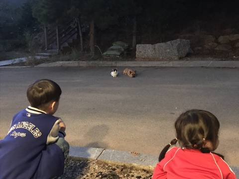 날씨가 좋은 보성 | 인스티즈