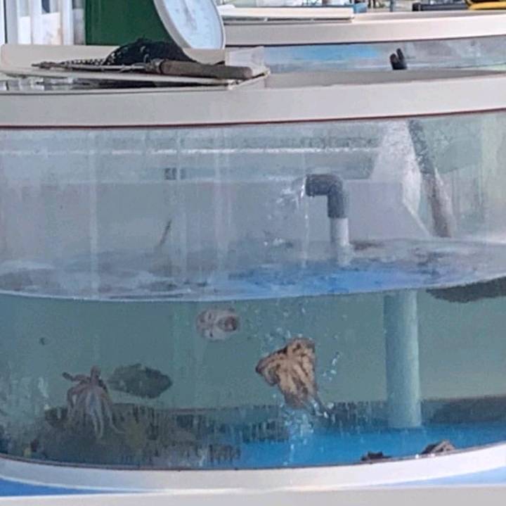 유병재인 줄 알았는데 주꾸미네 | 인스티즈