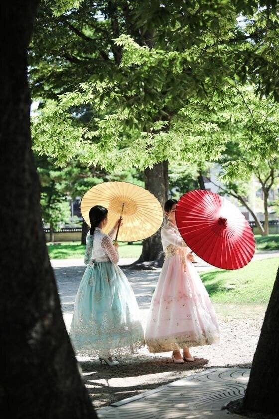 한국의 전통 우산 '지우산' | 인스티즈