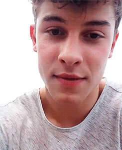 훈고딩으로 영어권에서 인기 폭발한 션 멘데스 | 인스티즈