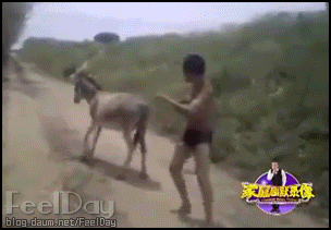 황당한 싸움 | 인스티즈