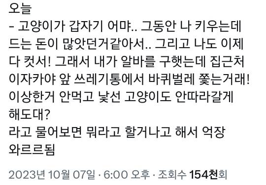 고양이 : 나 키우는데 돈 많이 들지? 알바할게 | 인스티즈