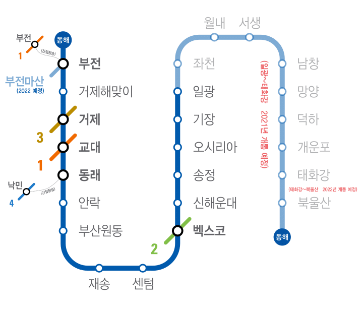 [속보] 울산시, 고래 더 이상 대중교통으로 이용 않기로 | 인스티즈