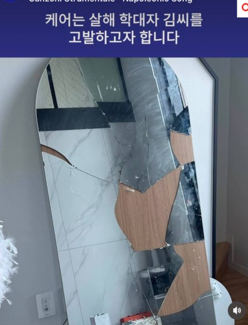 [판] (사진주의) 남친이 여친고양이 죽임 | 인스티즈