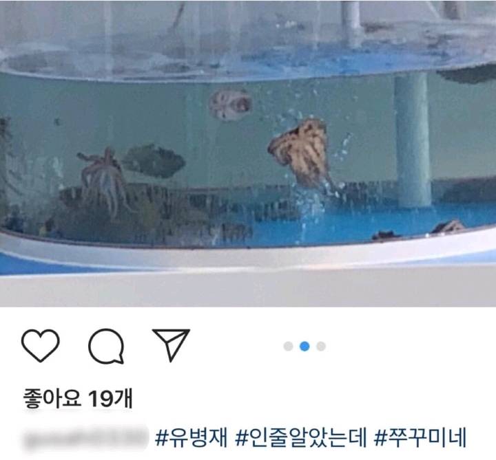 유병재인 줄 알았는데 주꾸미네 | 인스티즈