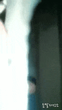 중국 어느 한 식당의 주방....(소름주의) | 인스티즈