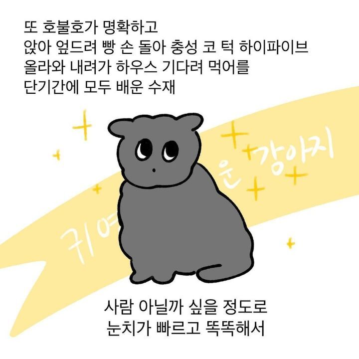 유기견 보호소에서 강아지를 입양 했다 | 인스티즈