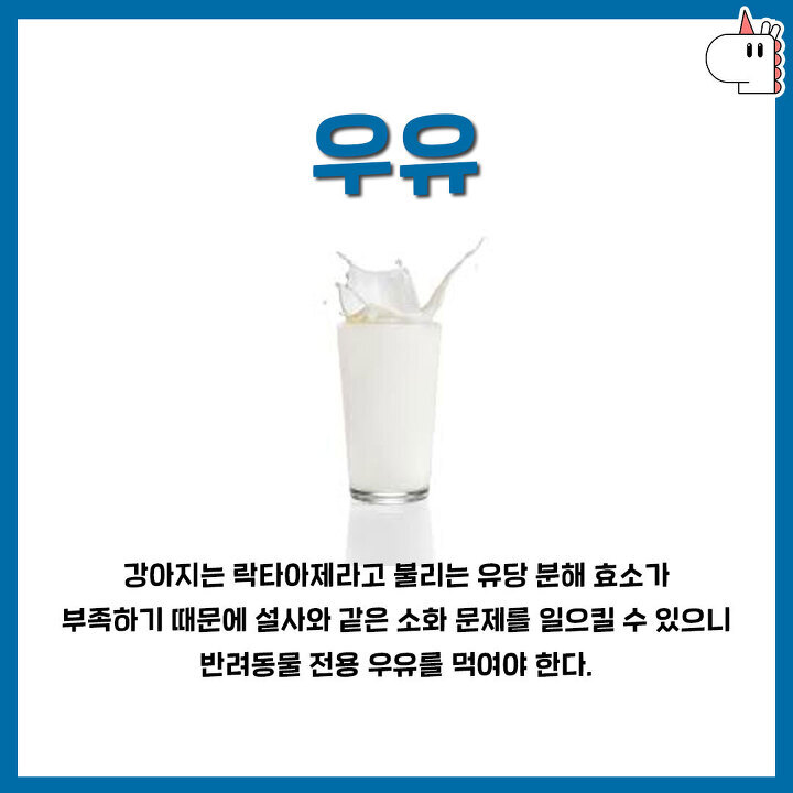 강아지에게 절대로 주면 안되는 10가지 음식 jpg | 인스티즈