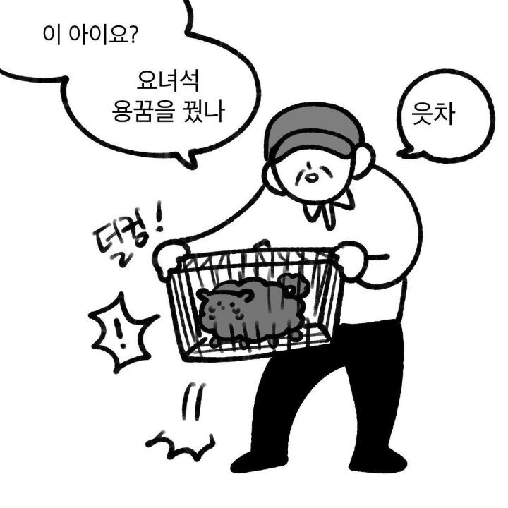 유기견 보호소에서 강아지를 입양 했다 | 인스티즈