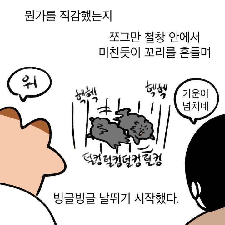 유기견 보호소에서 강아지를 입양 했다 | 인스티즈