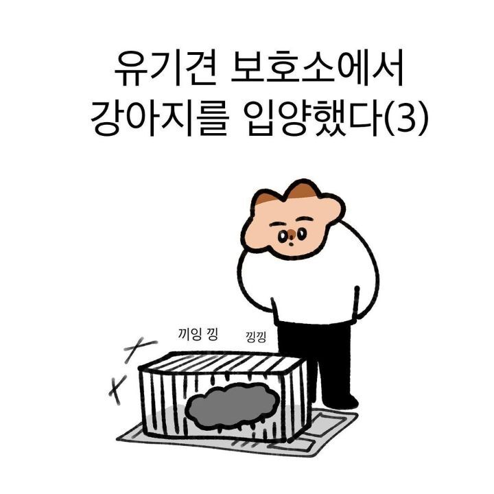 유기견 보호소에서 강아지를 입양 했다 | 인스티즈