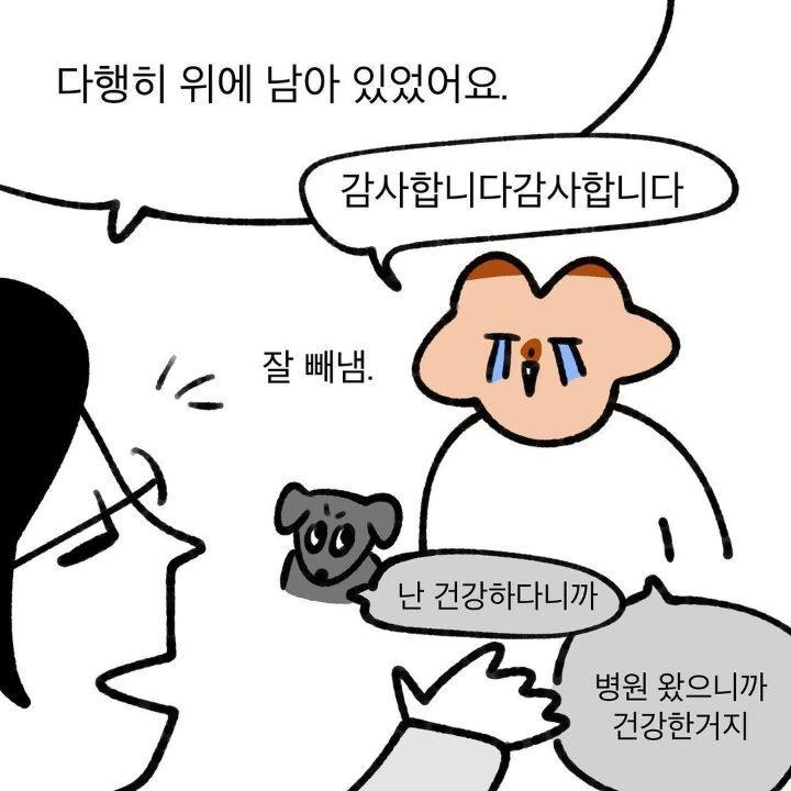 유기견 보호소에서 강아지를 입양 했다 | 인스티즈