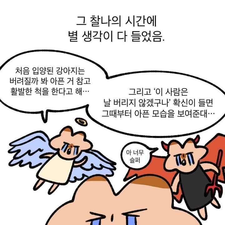 유기견 보호소에서 강아지를 입양 했다 | 인스티즈