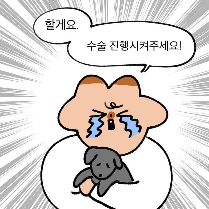 유기견 보호소에서 강아지를 입양 했다 | 인스티즈