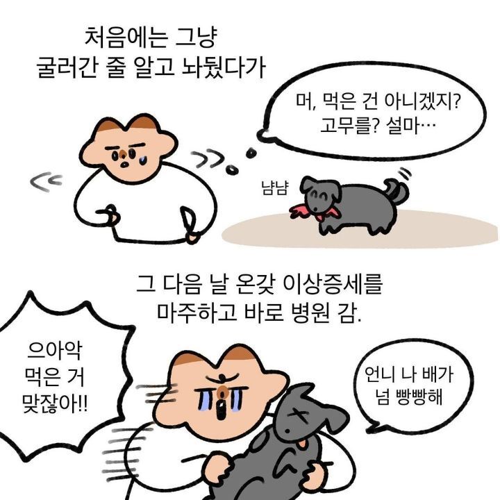 유기견 보호소에서 강아지를 입양 했다 | 인스티즈