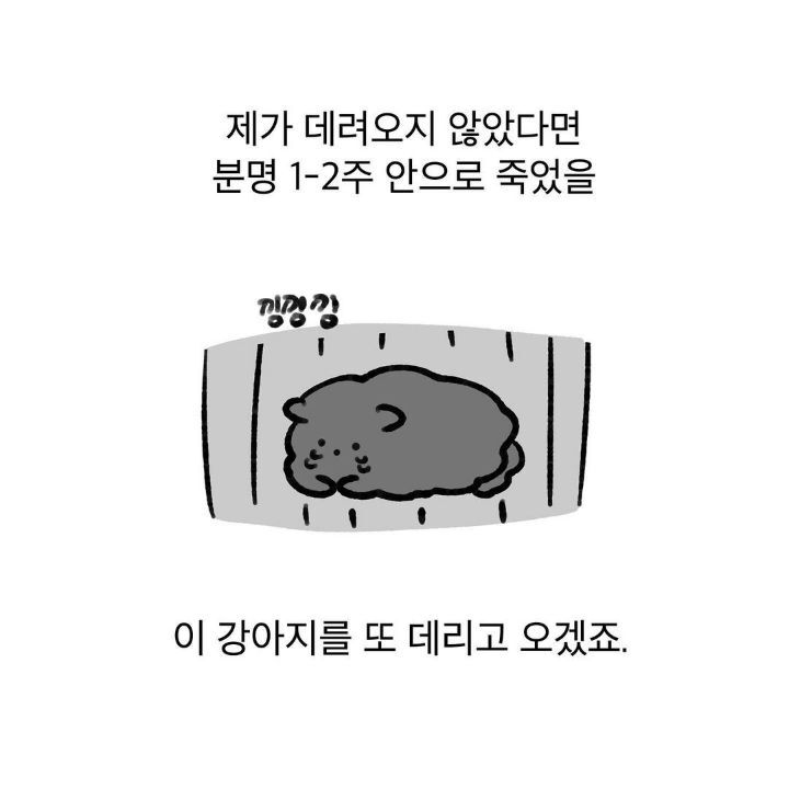 유기견 보호소에서 강아지를 입양 했다 | 인스티즈