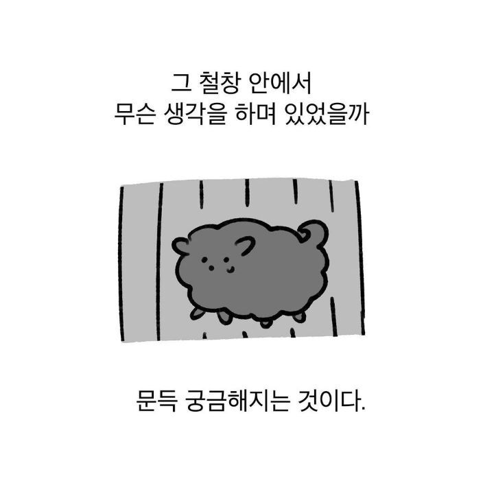 유기견 보호소에서 강아지를 입양 했다 | 인스티즈