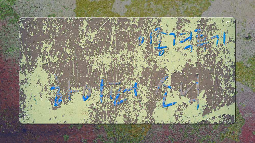 견주가 강아지에게 공격당한 이유 | 인스티즈