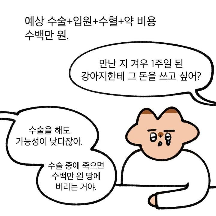 유기견 보호소에서 강아지를 입양 했다 | 인스티즈