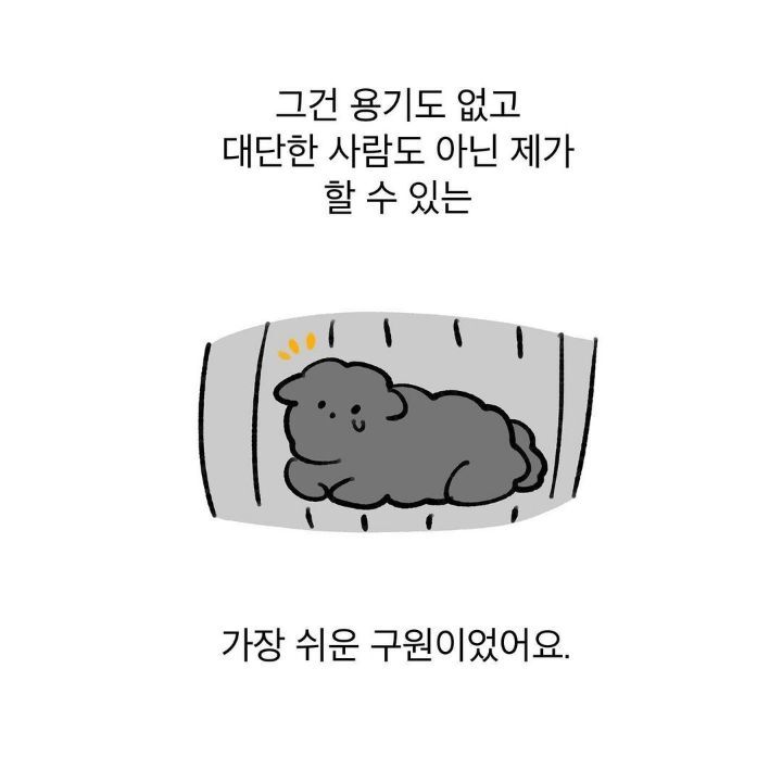 유기견 보호소에서 강아지를 입양 했다 | 인스티즈