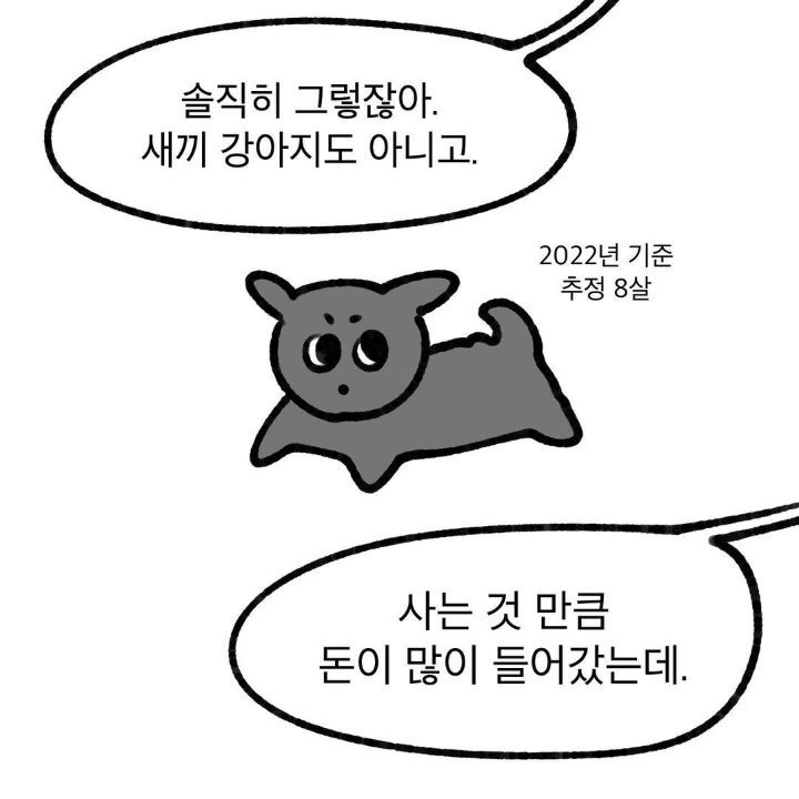 유기견 보호소에서 강아지를 입양 했다 | 인스티즈