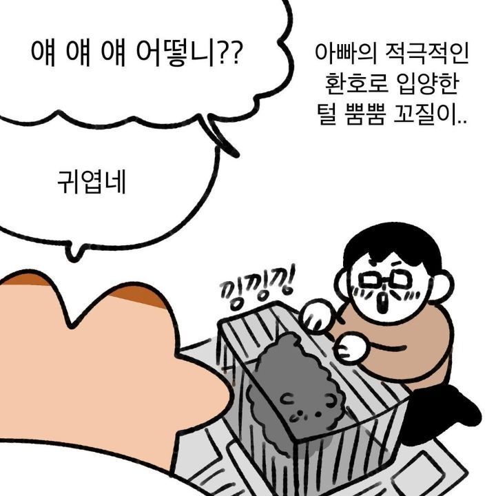 유기견 보호소에서 강아지를 입양 했다 | 인스티즈