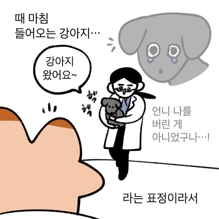 유기견 보호소에서 강아지를 입양 했다 | 인스티즈