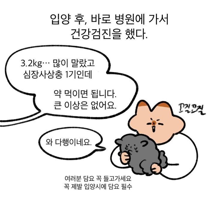 유기견 보호소에서 강아지를 입양 했다 | 인스티즈