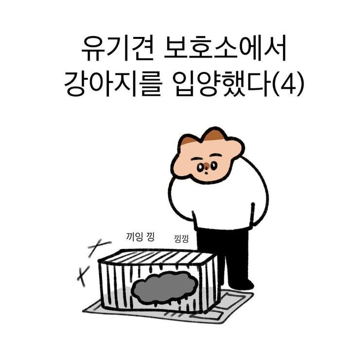 유기견 보호소에서 강아지를 입양 했다 | 인스티즈