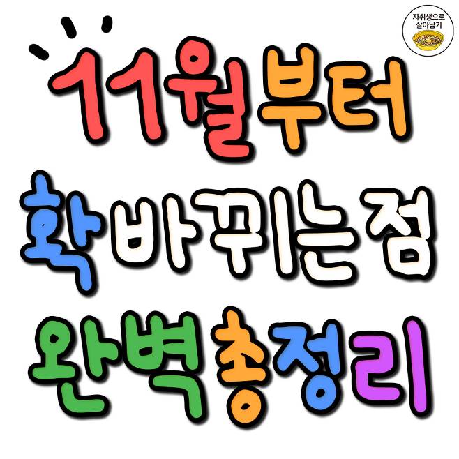 11월부터 확 바뀌는점 완벽총정리 | 인스티즈