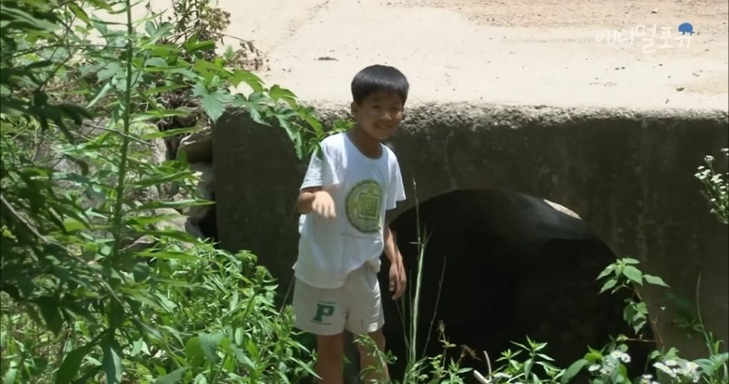 산골소년이 인간극장 제작진을 반겨주는 법 | 인스티즈