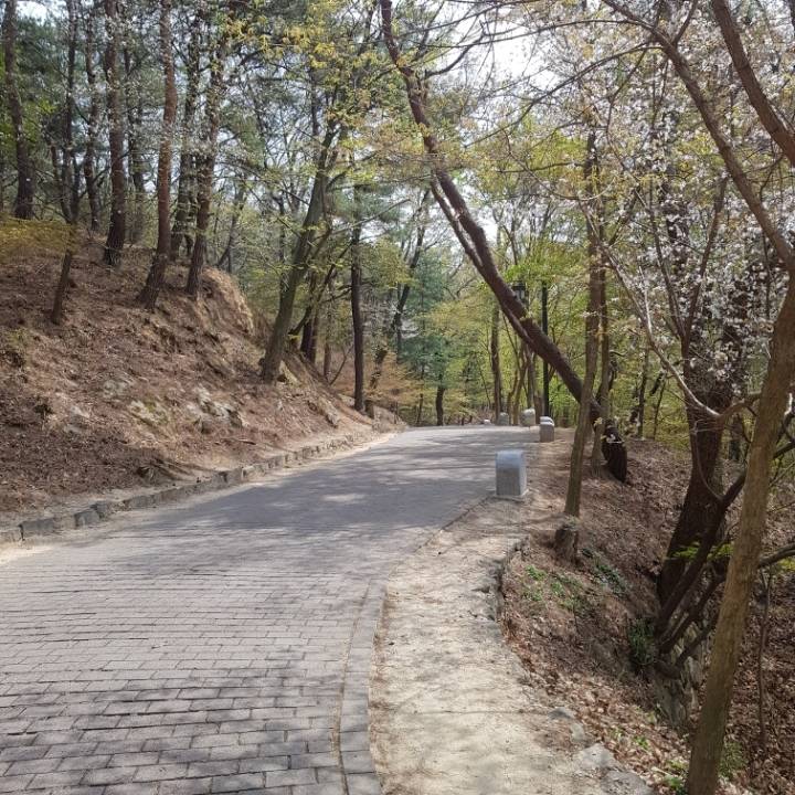nokbeon.net-가족 여행 갔을때 아빠 특징-1번 이미지