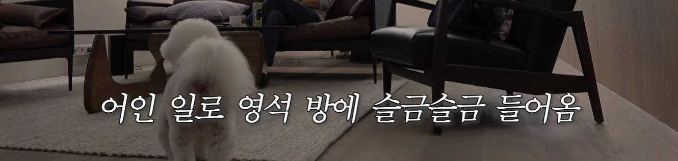 컨텐츠 금광, 컨텐츠 노다지, 어디까지 뽑을수있는지 궁금해지는 나영석네 유투브 | 인스티즈