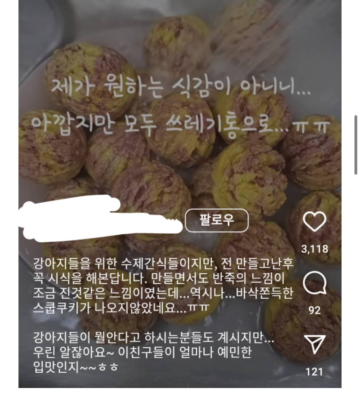 인스타에서 논란중인 음식물 폐기 게시물들 | 인스티즈